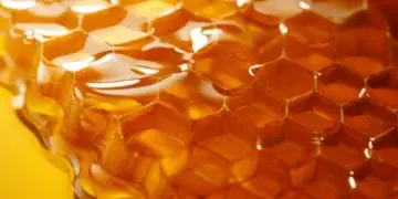 Мёд для здоровья и красоты