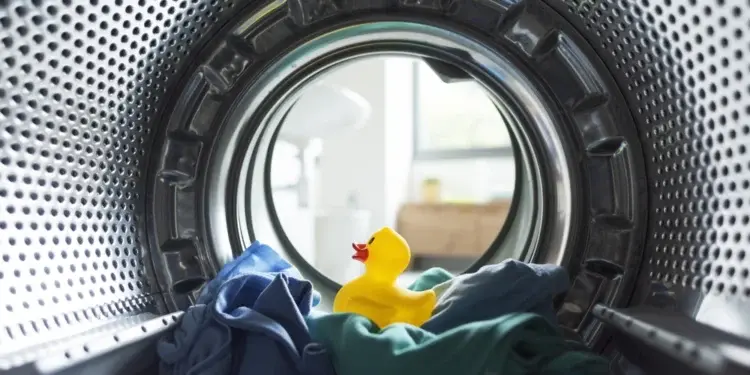 Когда покупать индейку ко Дню благодарения и как правильно её размораживать