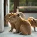 В зоопарке Сакраменто родились пятеро детенышей капибары