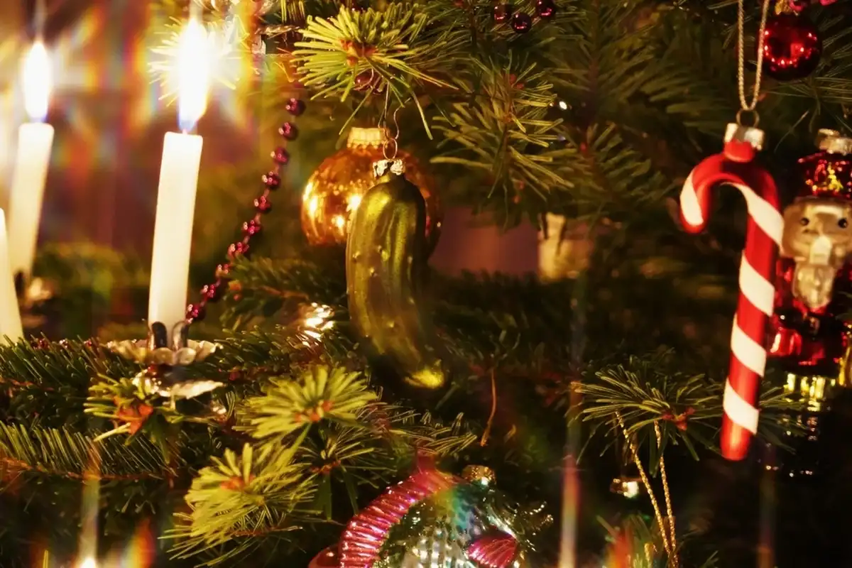 Фото: Shutterstock