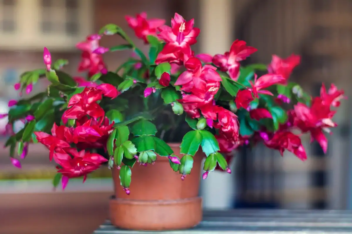 Фото: Shutterstock