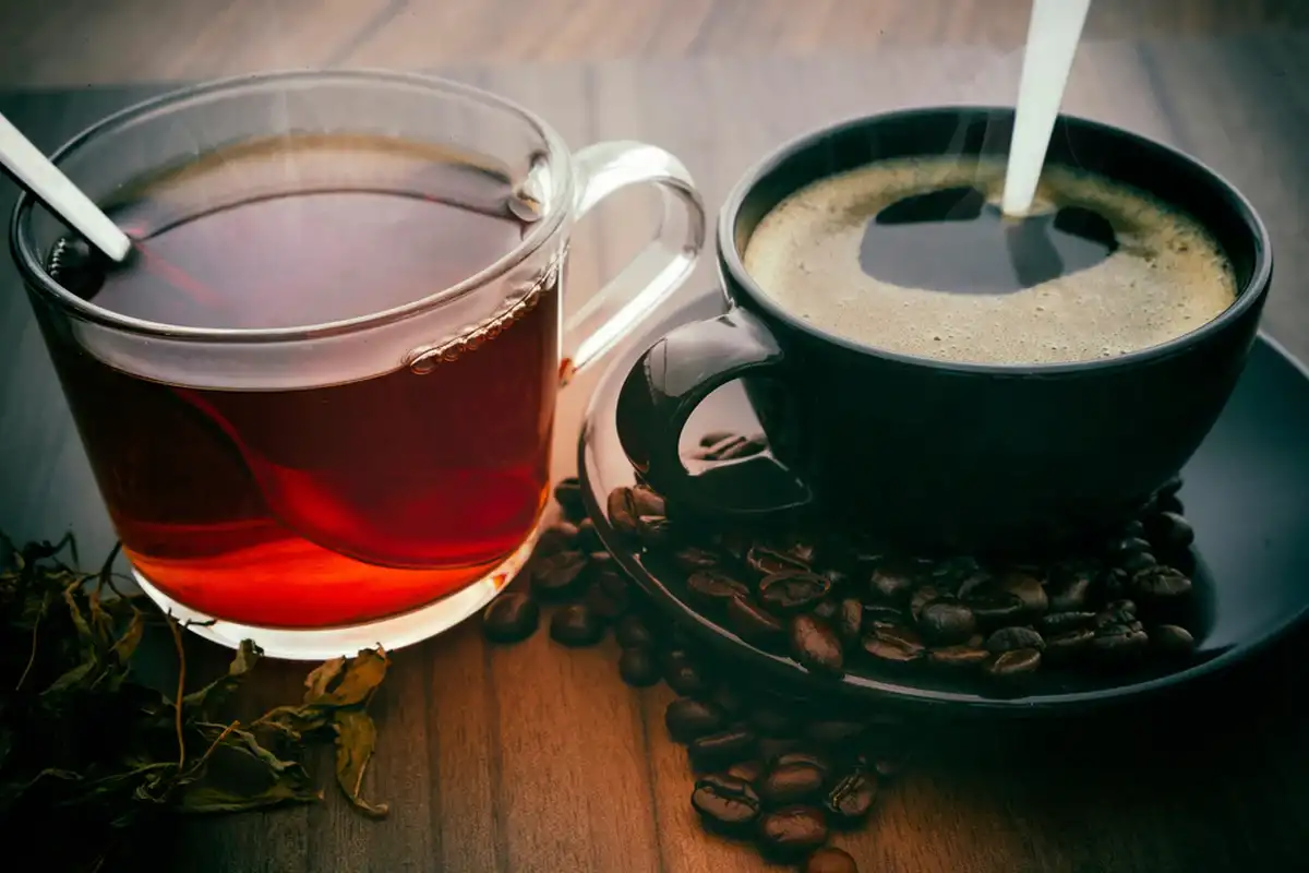 Фото: Shutterstock