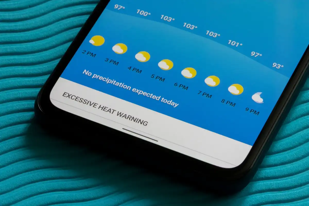 Фото: Shutterstock