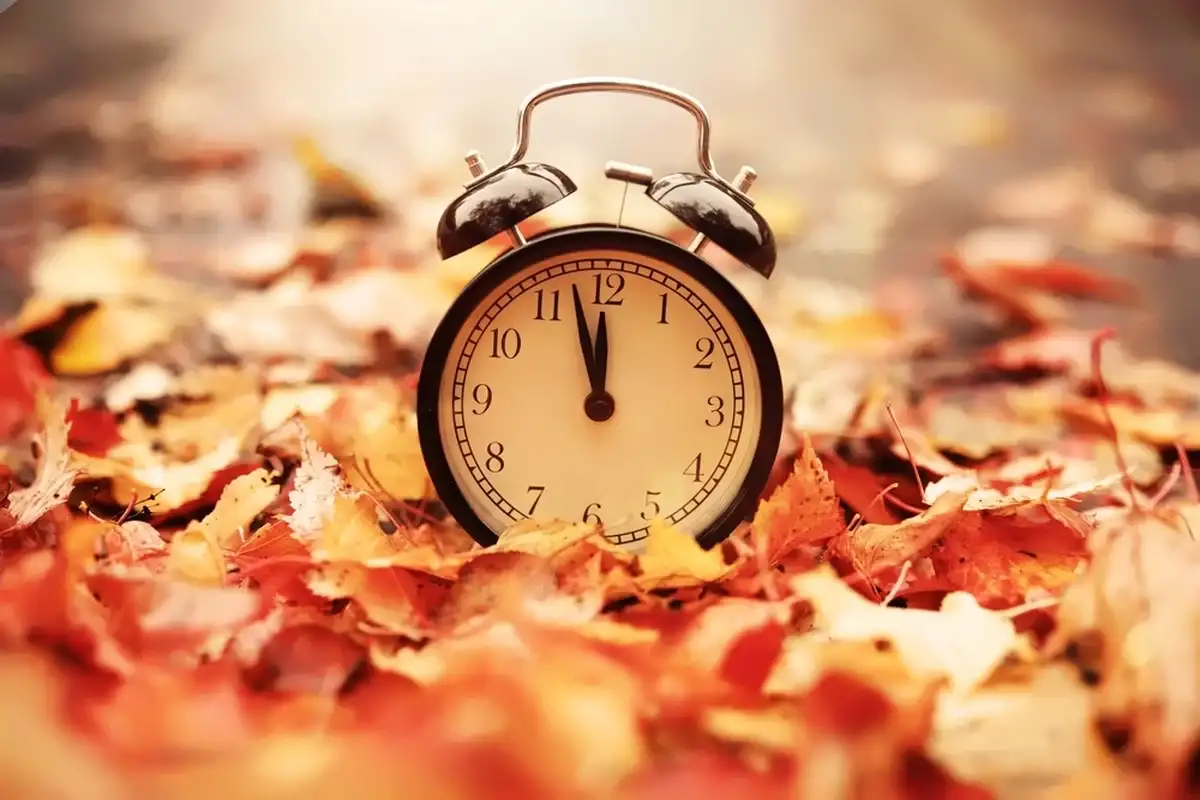 Фото: Shutterstock