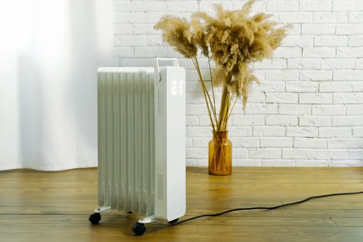 Фото: Shutterstock