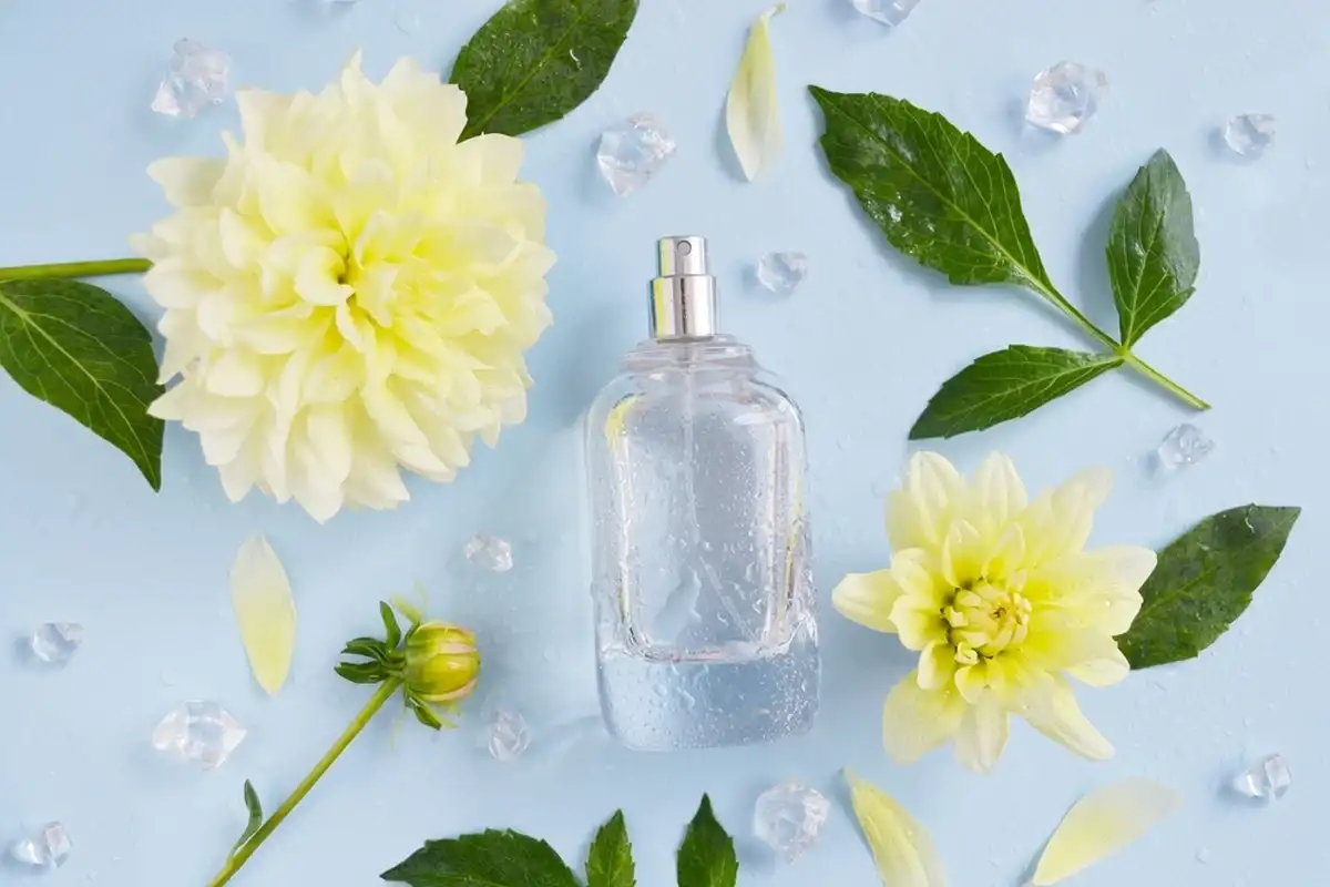 Фото: Shutterstock