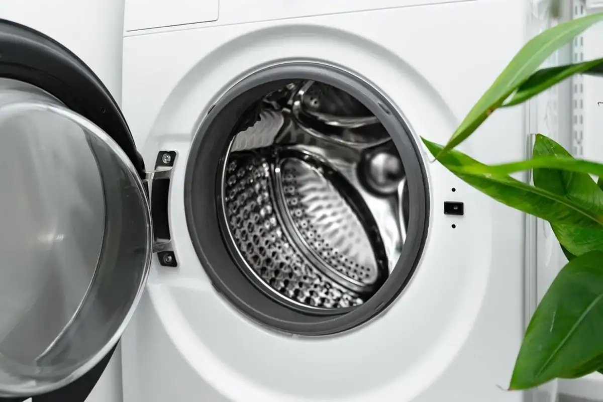 Фото: Shutterstock