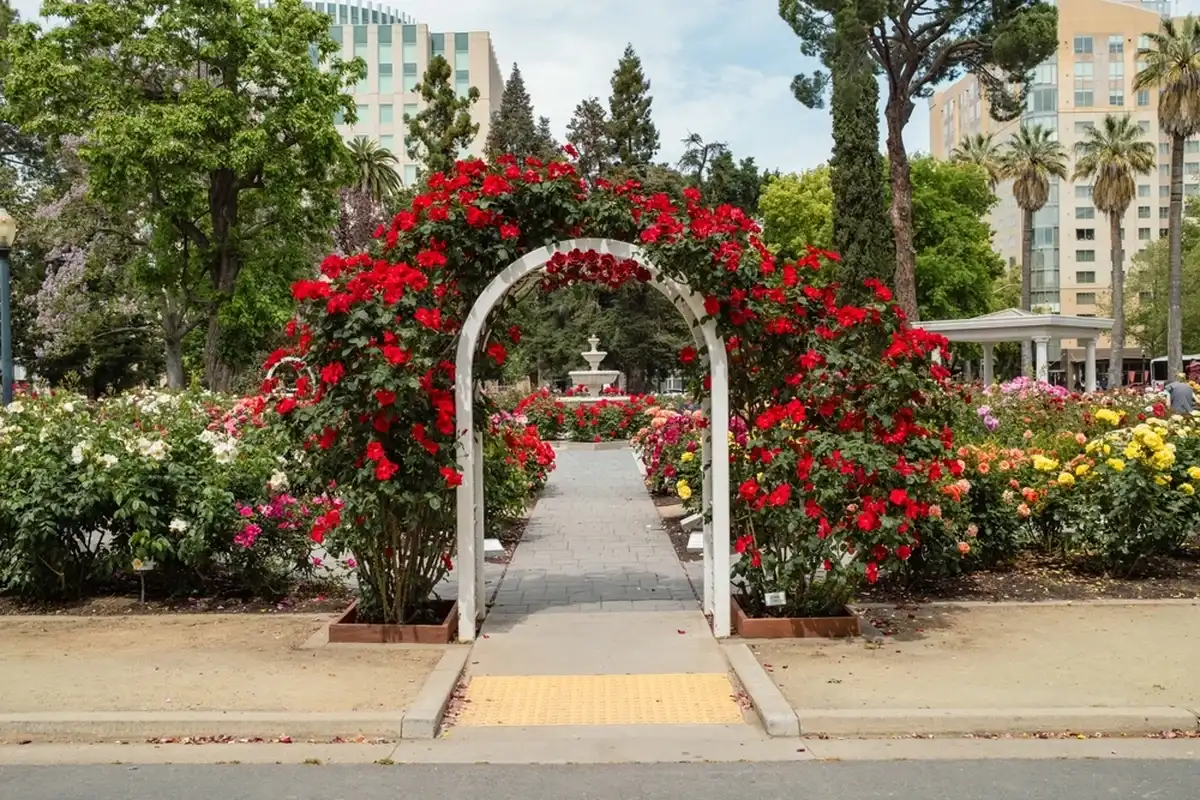 Фото: Shutterstock