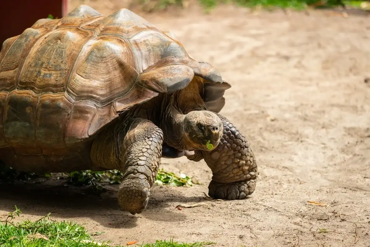 Фото: Shutterstock
