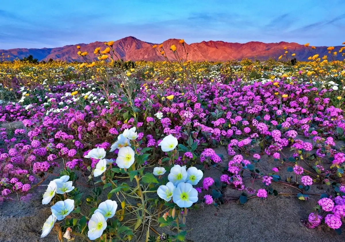 Фото: Shutterstock