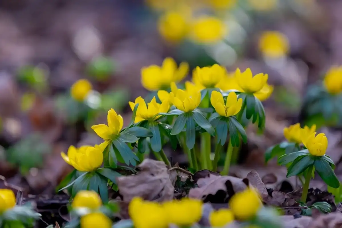 Фото: Shutterstock