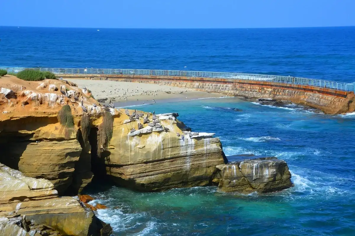 Фото: Shutterstock