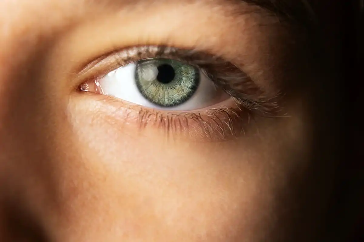 Фото: Shutterstock