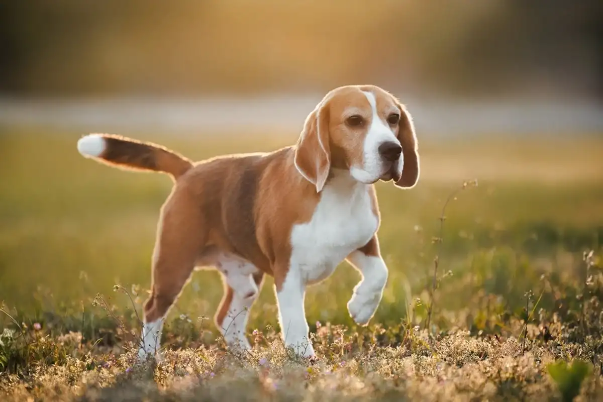 Фото: Shutterstock