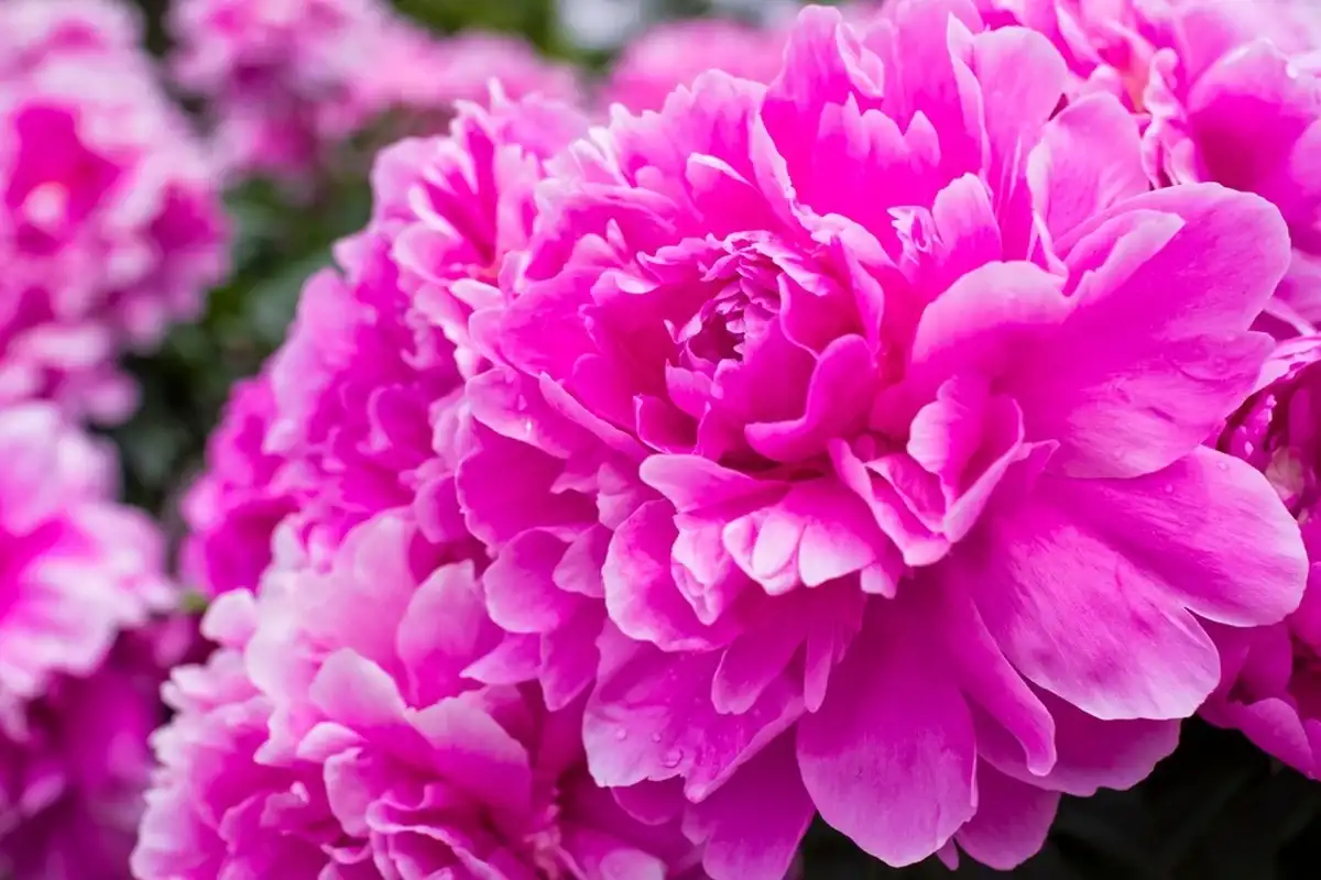 Фото: Shutterstock