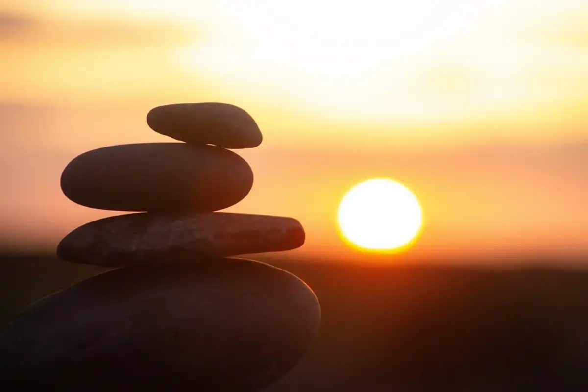 Фото: Shutterstock