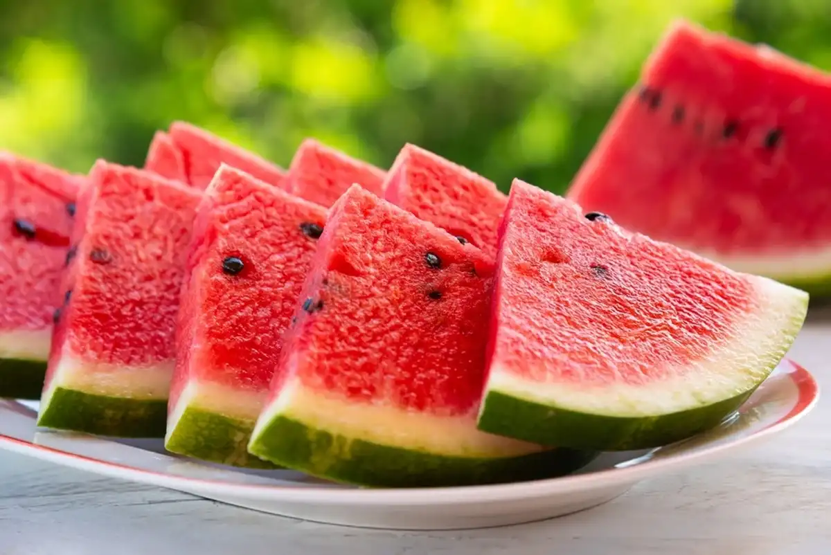 Фото: Shutterstock