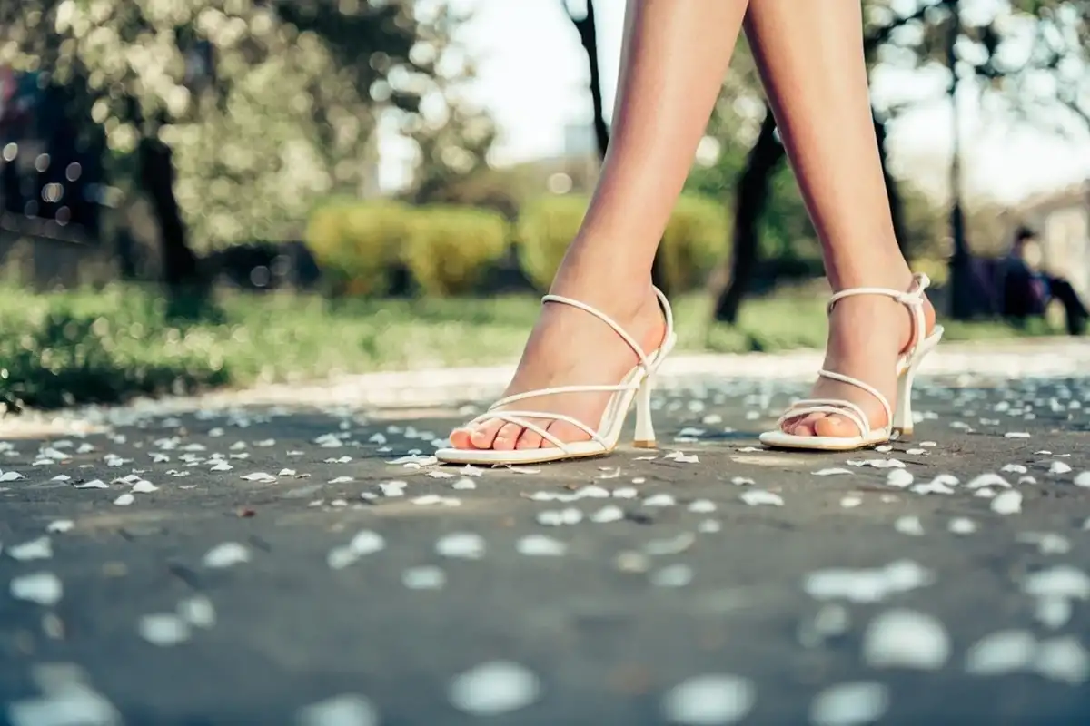 Фото: Shutterstock