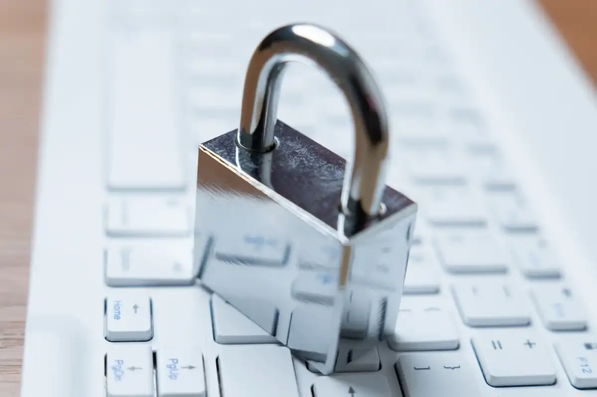 Фото: Shutterstock