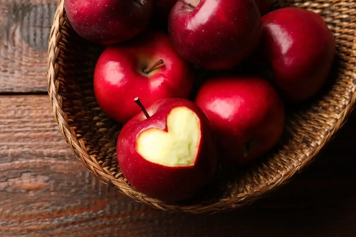 Фото: Shutterstock