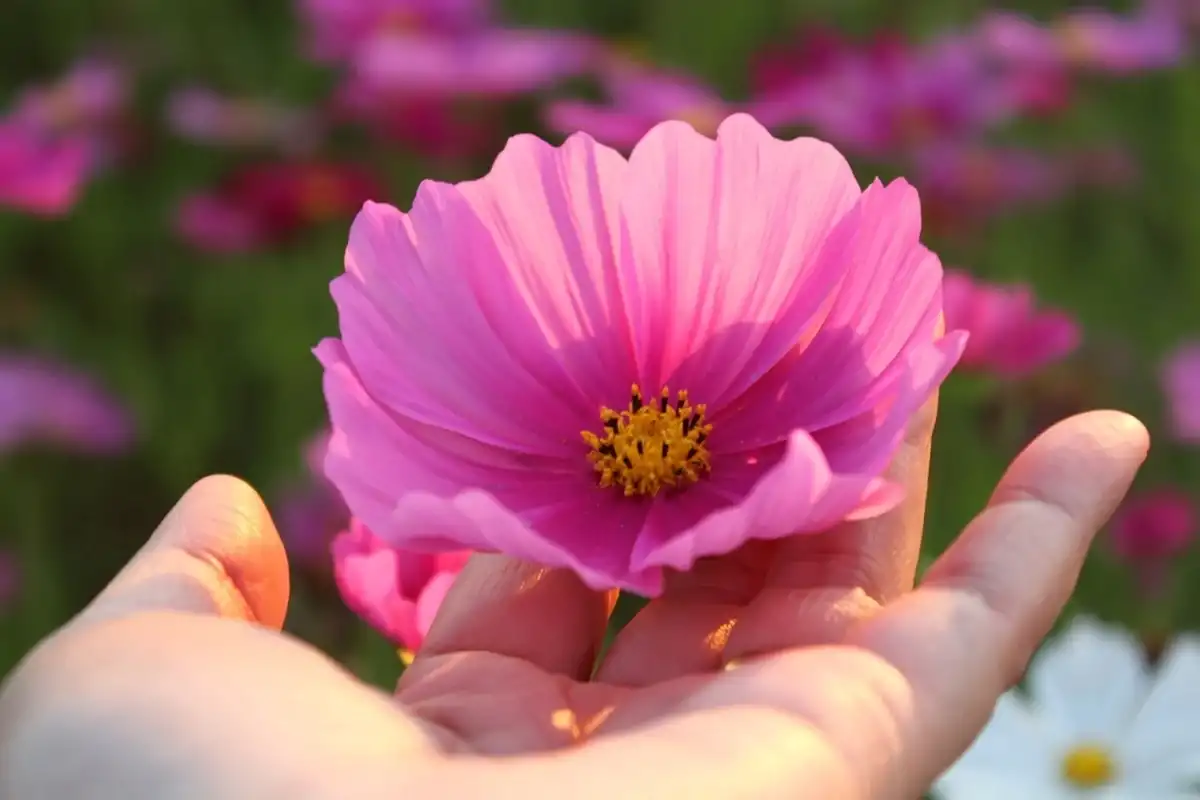 Фото: Shutterstock