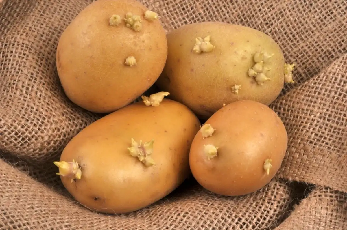 Фото: Shutterstock