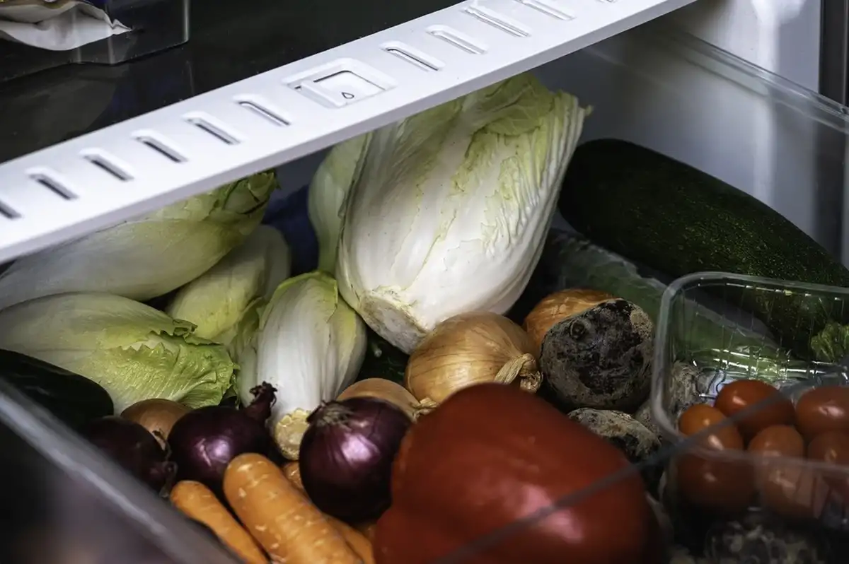 Фото: Shutterstock